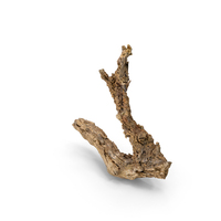 Grapevine Bark PNG & PSD Images