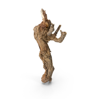 Grapevine Bark PNG & PSD Images