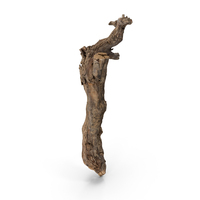 Grapevine Bark PNG & PSD Images