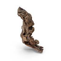 Grapevine Bark PNG & PSD Images