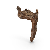 Grapevine Bark PNG & PSD Images