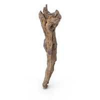 Grapevine Bark PNG & PSD Images