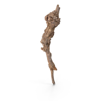 Grapevine Bark PNG & PSD Images