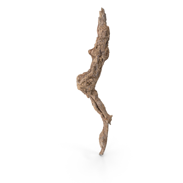Grapevine Bark PNG & PSD Images