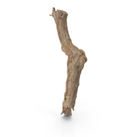 Grapevine Bark PNG & PSD Images