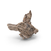Grapevine Bark PNG & PSD Images