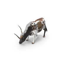 Texas Longhorn Cattle Mottled Brown PNG & PSD Images