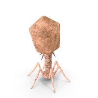 Bacteriophage Virus PNG & PSD Images
