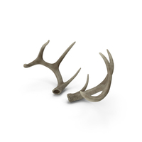 Antlers PNG & PSD Images