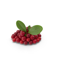 Bunch of Cranberries With Leaves PNG & PSD Images
