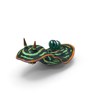 Dusky Nembrotha PNG & PSD Images