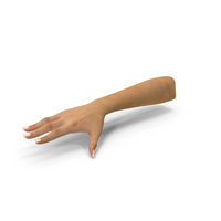 White Woman Hand Base Pose PNG & PSD Images