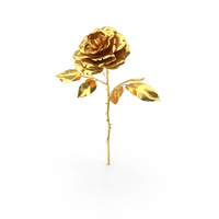 Rose Golden PNG & PSD Images