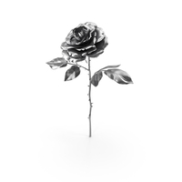 Rose Silver PNG & PSD Images