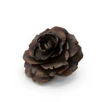 Rose Rust Bud PNG & PSD Images