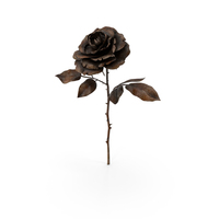 Rose Rust PNG & PSD Images