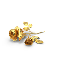 Rose Golden on Floor PNG & PSD Images