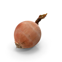 Onion PNG & PSD Images