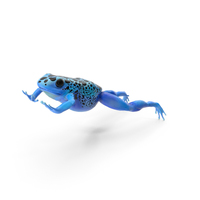 Dendrobates Tinctorius Jumping Pose PNG & PSD Images