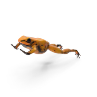 Jumping Orange Phyllobates Terribilis PNG & PSD Images