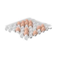 Egg Tray With Eggs PNG & PSD Images