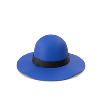 Blue Women Hat PNG & PSD Images