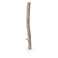 Twig Scanned PNG & PSD Images