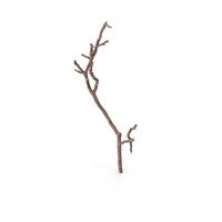 Twig PNG & PSD Images