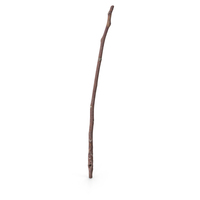 Twig Scanned PNG & PSD Images