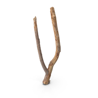 Twig Scanned PNG & PSD Images