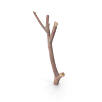 Twig PNG & PSD Images