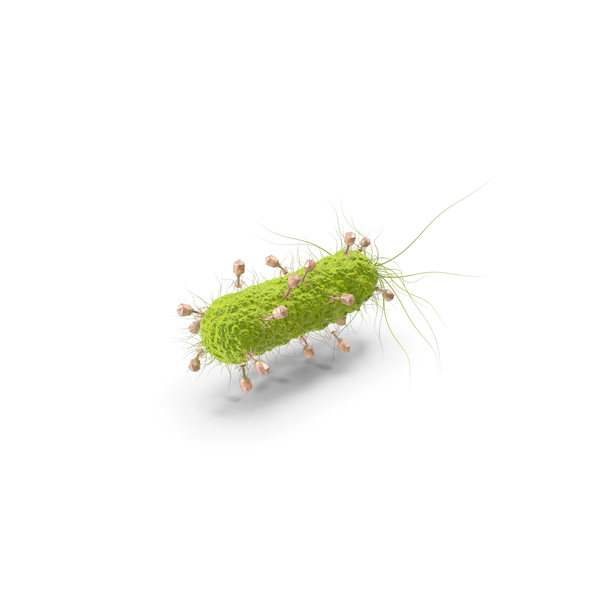Bacteria Attacked By Bacteriophage PNG & PSD Images