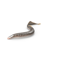 Lamprey Motion Pose PNG & PSD Images