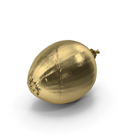Gold Onion PNG & PSD Images