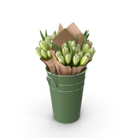 Tulips In Bucket PNG & PSD Images