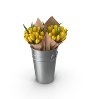 Tulips In Bucket PNG & PSD Images
