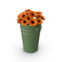 Flowers In Bucket PNG & PSD Images