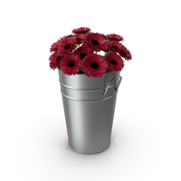 Flowers In Bucket PNG & PSD Images