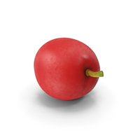 Hawthorn Berry PNG & PSD Images