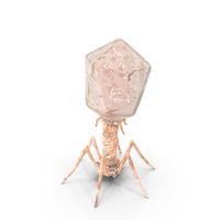 Bacteriophage PNG & PSD Images