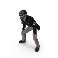 Baseball Umpire with Protective Mask and Cap in Ready Pose Fur PNG & PSD Images