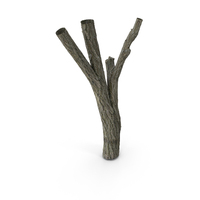 Tree Trunk PNG & PSD Images