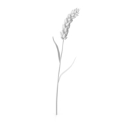 Stylized Monochrome Wheat PNG & PSD Images
