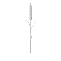 Monochrome Wheat PNG & PSD Images