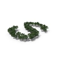 Tree Magnolia Liliflora Letter S PNG & PSD Images