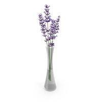 Vase with Lavender Flowers PNG & PSD Images