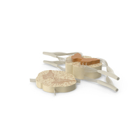 Gross Anatomy of Spinal Nerves PNG & PSD Images