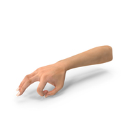 Olive Skin Female Hand OK Pose PNG & PSD Images