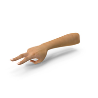 Female Caucasian Hand Victory Sign Pose PNG & PSD Images