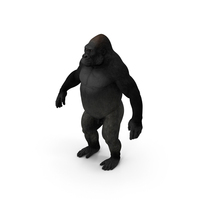 Gorilla Basic Pose PNG & PSD Images